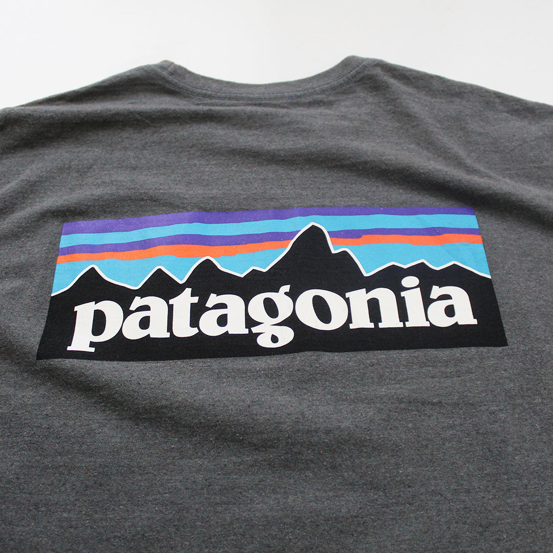 Playera Patagonia Gris (XL)